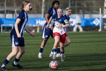 Bild 296 - wBJ Hamburger SV - Hertha BSC : Ergebnis: 2:1